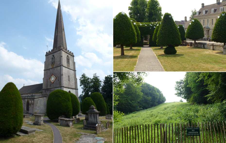 The yews of Painswick Churchyard